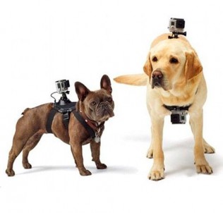 Крепление для камер GoPro SJcam на собаку
