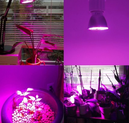 Лампы флора LED 7-50W для гидропоники и аквариума